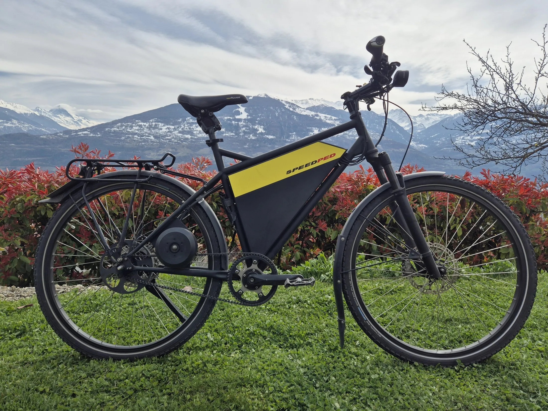 Vélo électrique SpeedPed avec vue sur les montagnes du Valais — réparation vélos et e-bikes