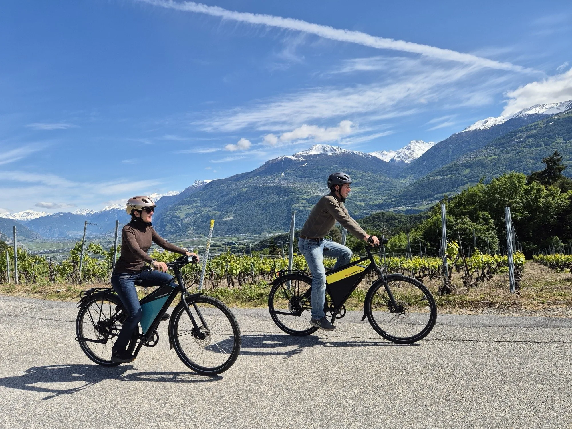 Deux cyclistes à vélo électrique SpeedPed devant les vignes valaisannes et les Alpes enneigées